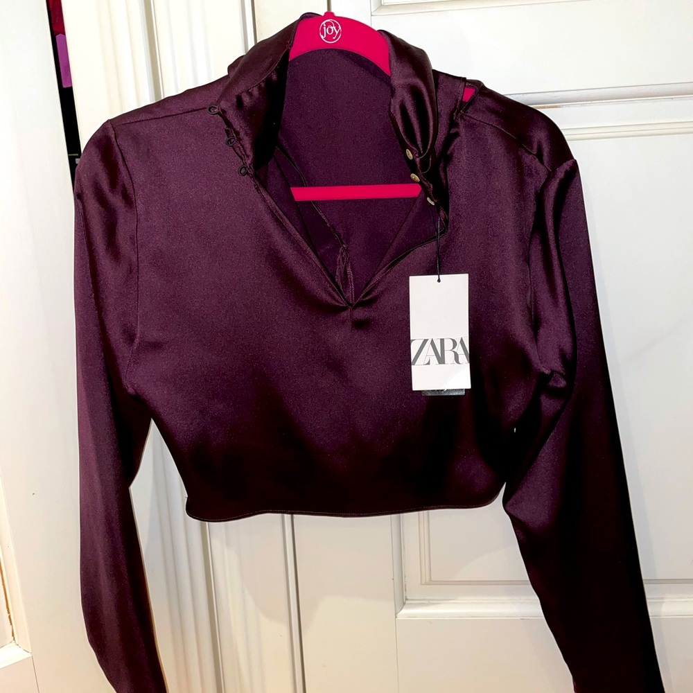 Zara Cross Neck Cropped Silk Top